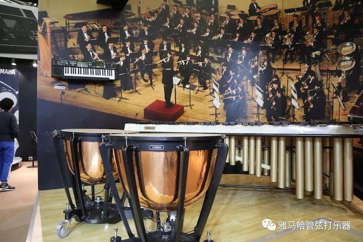 SG胜游乐器 试奏乐器