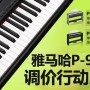 SG胜游P-95数码钢琴，调价行动即日展开 
